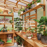 9x6 Poppy Greenhouse angle 11