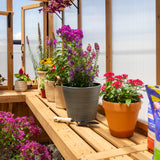 14.5x12 Savannah Greenhouse angle 12
